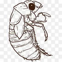 ���۾�ʸ����ͨ�����-������