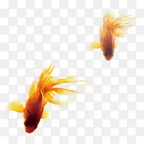 ������Ӱ���ɫ����-������