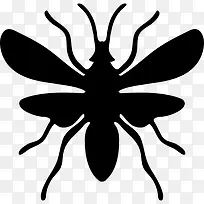 飞蚁图标-空若网 飞蚁图标-空若网