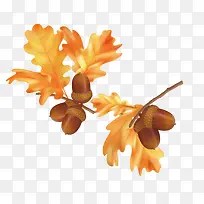 秋天落叶图片-空若网 秋天落叶图片-空若网