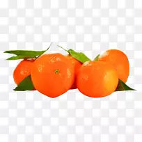 éÙ×Ó-¿ÕÈôÍø éÙ×Ó-¿ÕÈôÍø