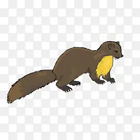 卡通水貂素材-空若网 卡通水貂素材-空若网