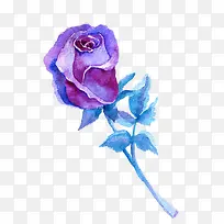 ��ɫˮ�ʻ���-������