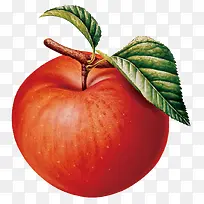 水果图案-空若网 水果图案-空若网