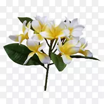 �л�-������