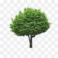 ����ǰ����-������