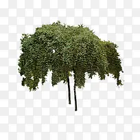 ����ǰ����-������