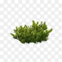 ����ǰ����-������