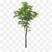 ����ǰ����-������