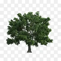 ����ǰ����-������