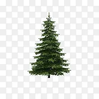 ����ǰ����-������