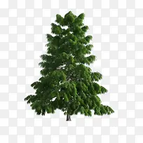 ����ǰ����-������