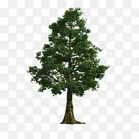 ¾°¹Ûǰ¾°Ê÷-¿ÕÈôÍø ¾°¹Ûǰ¾°Ê÷-¿ÕÈôÍø