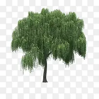 ����ǰ����-������