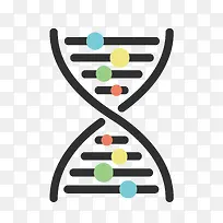 ʸ��DNA�ṹ�ز�-������