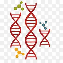 矢量基因链-空若网 矢量基因链-空若网