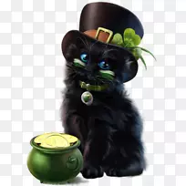 ��èСè�����-ʥ�������-������