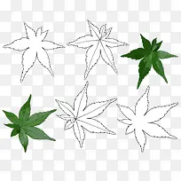 �ֻ��ʷ�Ҷ-������