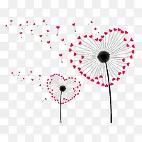 爱情蒲公英-空若网 爱情蒲公英-空若网