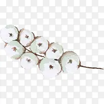 棉花-空若网 棉花-空若网