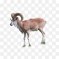 ɽ��ͼƬ-������