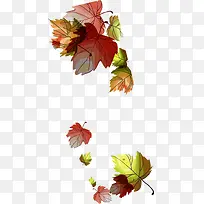 ��ͨ�ֻ�������Ҷ-������