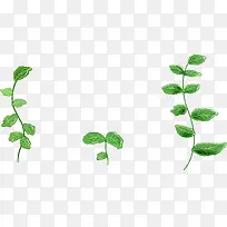 绿色高清彩绘树枝藤蔓-空若网 绿色高清彩绘树枝藤蔓-空若网