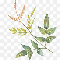 ����ˮī����֦-������