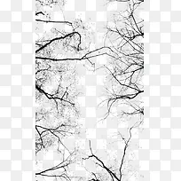 ��֦-������