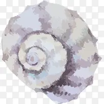 海螺-空若网 海螺-空若网