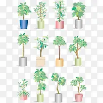 室内植物发财树矢量图-空若网 室内植物发财树矢量图-空若网