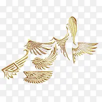 翅膀-空若网 翅膀-空若网