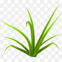 СÂ̲Ý-¿ÕÈôÍø СÂ̲Ý-¿ÕÈôÍø