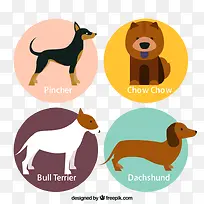 ���ﹷ��ǩʸ��ͼ����-������