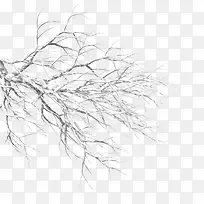 ��ɫ��Լ��֦װ��ͼ��-������