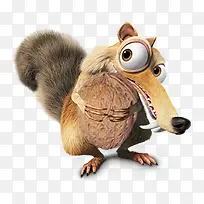 抱着核桃的松鼠-空若网 抱着核桃的松鼠-空若网