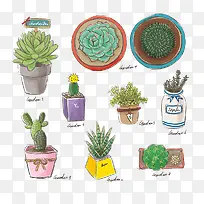 ����ֲ��ˮ�ʻ�-������