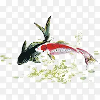 国画锦鲤-空若网 国画锦鲤-空若网