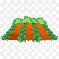 ׯ��ʳ���߲�-������