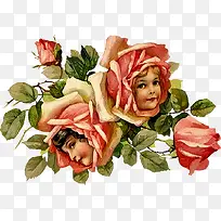 玫瑰花-空若网 玫瑰花-空若网