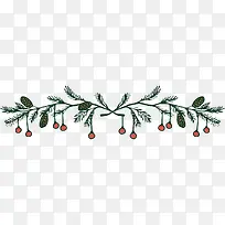 ����ɫ��ʵ����֦-������