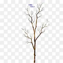 ¼òÔ¼´ó·½¾«ÖÂÊ÷Ö¦-¿ÕÈôÍø ¼òÔ¼´ó·½¾«ÖÂÊ÷Ö¦-¿ÕÈôÍø