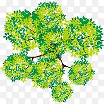 绿色春季树顶树枝-空若网 绿色春季树顶树枝-空若网