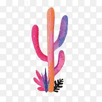 水彩仙人掌-空若网 水彩仙人掌-空若网