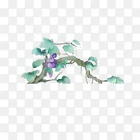 葡萄树藤-空若网 葡萄树藤-空若网