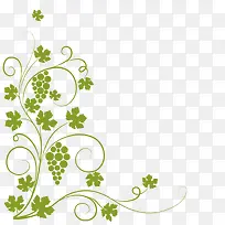 绿色的水果藤-空若网 绿色的水果藤-空若网