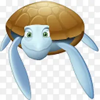乌龟动物动物-空若网 乌龟动物动物-空若网