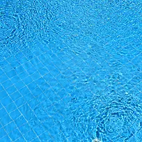 Ӿ�ز��Ʊ���-������