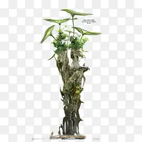 创意植物-空若网 创意植物-空若网