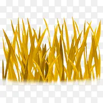 小草图片-空若网 小草图片-空若网